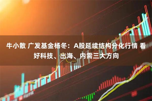牛小散 广发基金杨冬:A股延续结构分化行情 看好科技、出海、内需三大方向