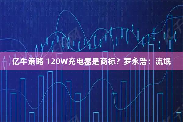 亿牛策略 120W充电器是商标？罗永浩：流氓